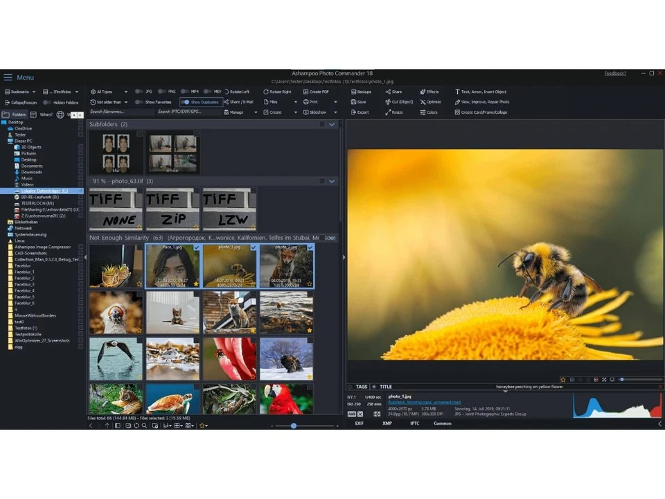 Ashampoo Photo Commander (v. 18) - license - 1 license - Image 3 of 4
