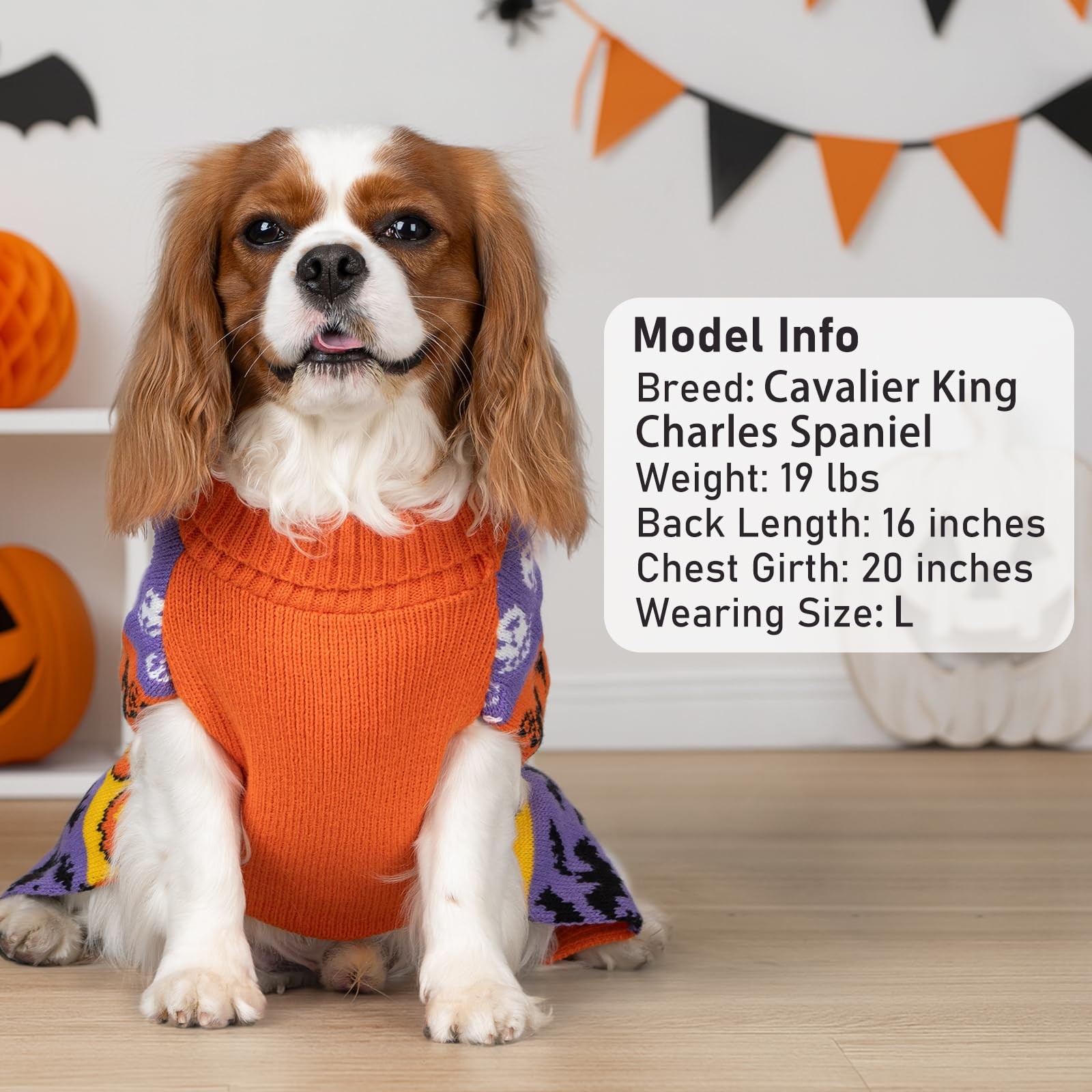 KYEESE Dog Halloween Sweater for Small Dogs Pumpkin Ghost Knit Outfit ...