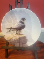 Set Of (9) Bird Collector Plates By Knowles, Dominion, And L Sterling