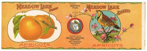 ORIGINAL C1910 ANTIQUE CAN LABEL MEADOW LARK SAN FRANCISCO SELMA CANNING APRICOT