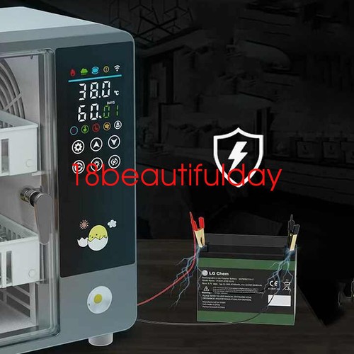 24 Eggs Incubator Machine Automatic Egg Hatcher for Chicken Quail Pigeon Duck - Picture 12 of 18