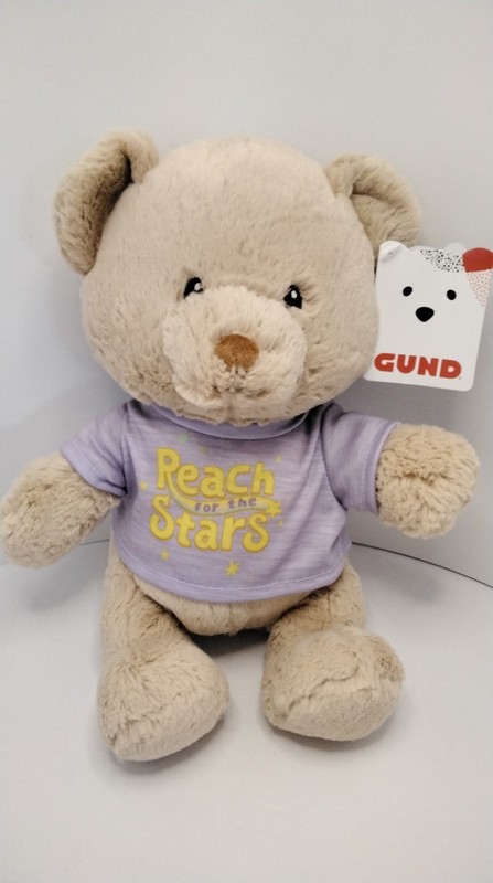 Gund “Reach For The Stars” 12" Message Bear Lavendar T-Shirt Tan Bear NWT