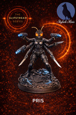 Pris by Skylark Minis  DnD  D D  Focal Point  Print on Demand