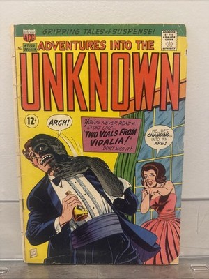 ADVENTURES INTO THE UNKNOWN #169 ACG Comics 1966 SA Horror Sci-Fi