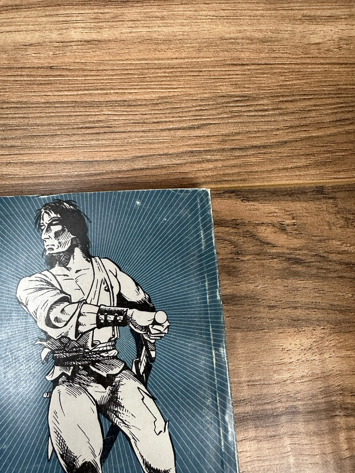 Picture 11 of 19