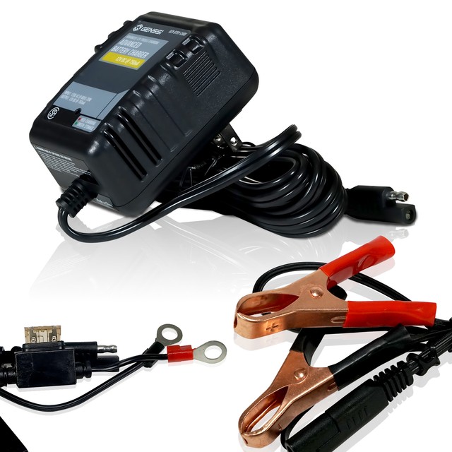 12v float charger