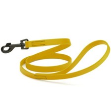 Dog Pet Waterproof Leash - W3/4" x L4' - Treasure Gold