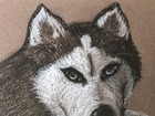 Bild 6 von 6