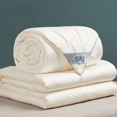 Nordic Mulberry Silk Comforter Queen King Size Cotton Blanket