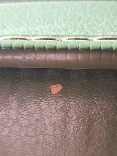 Vtg 1950's-60s Avocado Green Suitcase Medium Size (15x20x6 in) Scuffs & Scrapes - Picture 17 of 19