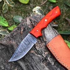 Custom Made Forged Damascus Steel Fix Blade Skinning Hunting Knife SS 31