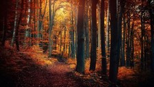 Landscape nature trees forest Custom Gaming Mat Desk