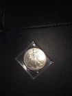 2002 1 oz Silver American Eagle (Uncirculated)