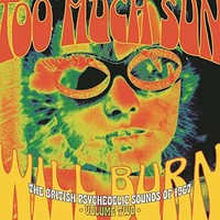 Various Artists - TOO Much SUN Will Burn THE British Psychedelic Soun - K600Z