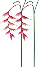 2 PCS 35 Inch Artificial Heliconia Pink Faux Bird Paradise Fake Tropical