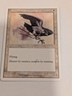 Royal Falcon - Starter 2000 - Magic the Gathering MTG Nice!