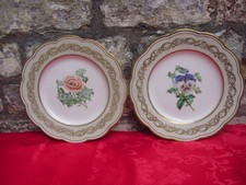 2 Victorian Davenport Longport Staffordshire Botanical Floral Plates Patt. 1615