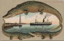 River Front Jacksonville Florida FL 1911 Postcard