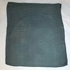 Vintage Dolce & Gabbana Sheer Silk Logo Scarf Green Designer Italy 24" x 27"