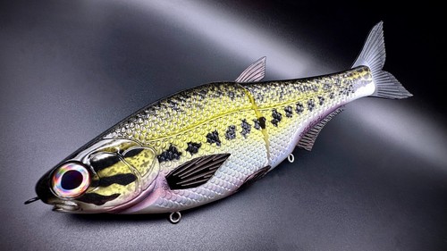 HINKLE SHAD CLONE BABY BASS SWIMBAIT CUSTOM PAINTED -EBAY'S #1 HINK STYLE SELLER - Picture 3 of 4