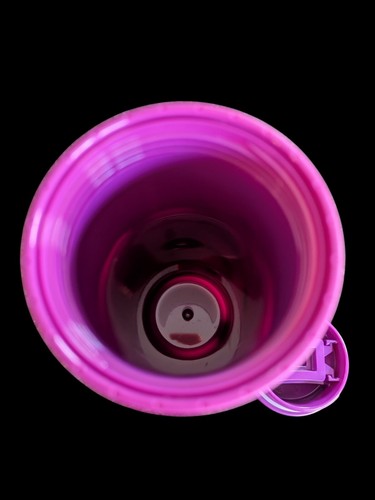 Aladdin Tumbler With Lid-2014- Purple Flower And Bird Design - Picture 7 of 9