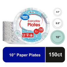 150 Count Disposable Paper Plates - 10 Inch Large Dinner Size - Bulk Pack NEW