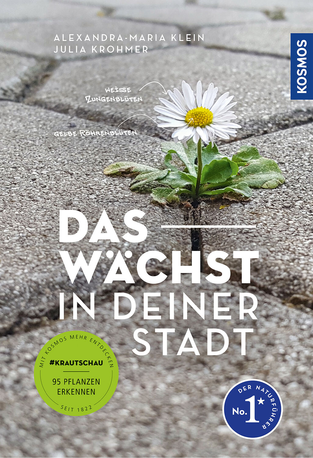 Thumbnail - Alexandra-maria Klein; Julia Krohmer / Das Wächst In Deiner Stadt