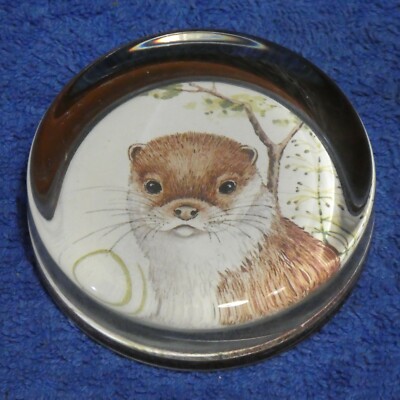 Wildlife runder Glas Briefbeschwerer Otter Deva Trend England englisches Glas
