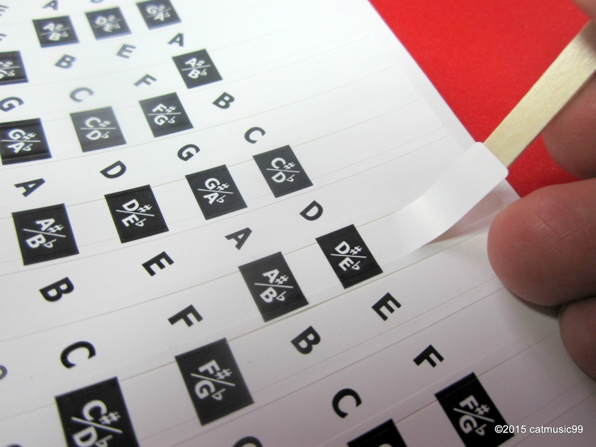 Choisir Un Support De Guitare Basse Autoportant : Les Critères Essentiels