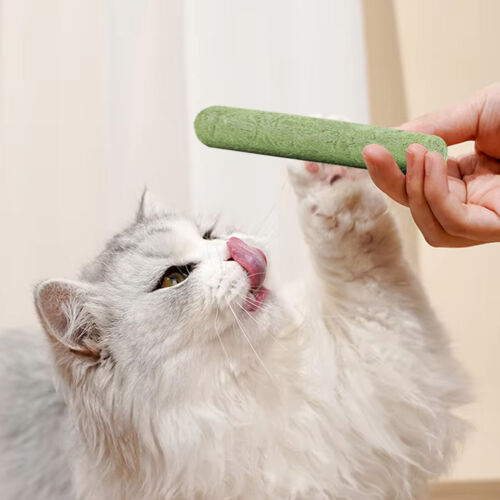 Cat Grass Teething Stick Cat Grass Sticks Catnip Toys Teeth Health Chew Toy - Picture 8 of 12