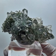 Starburst quartz with chlorite on matrix Streep Mine Goboboseb, Namibia
