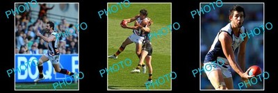 TAYLOR WALKER ADELAIDE CROWS SET OF 3 8x6 INCH ACTION PHOTOS