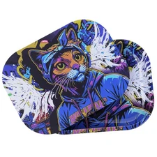 Small Metal Tray with Magnetic Lid,Metal 7" x 5.5" x 0.6", Cat 