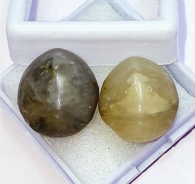 100% Natural Cat's Eye Total 24.60 Ct 2 Pieces Loose Gemstone Certified