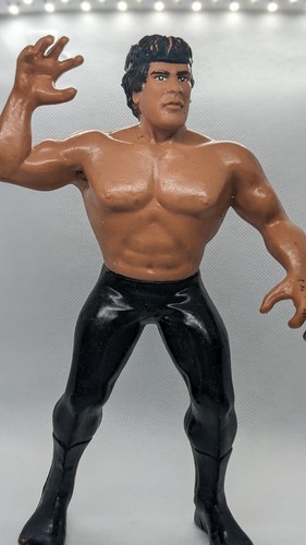 WWF Ricky Dragon Steamboat LJN titan Wrestler Wres...