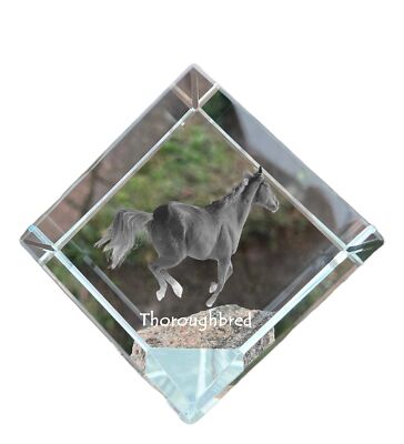 Thoroughbred - crystal cube with a horse picture, horse picture in crystal, cubi