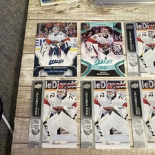 (12) Sergei Bobrovsky lot Florida Panthers 