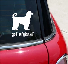 GOT AFGHAN? AFGHAN HOUND DOG GRAPHIC DECAL STICKER ART CAR WALL