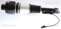 Triscan Luftfederbein 8720 23106 FüR Mercedes Klasse W211 Model S211 CLS C219