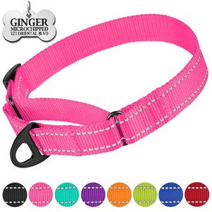 reflective dog collars personalized