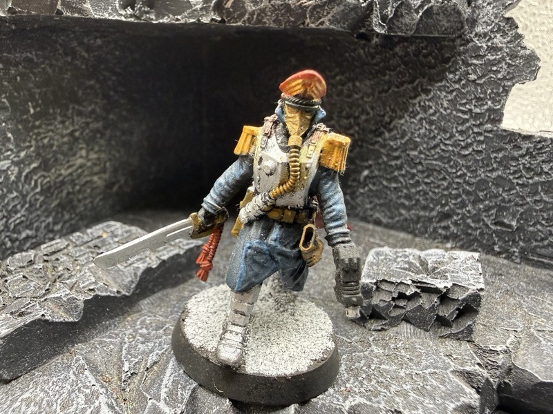 Wargaming 1x Painted Commissar Miniature Gaming Resin Custom Proxy Imperial