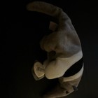 Ty Beanie Babies Ants the Anteater Plush Beanbag 1999 Retired Vintage MPN 4060 — photo 2