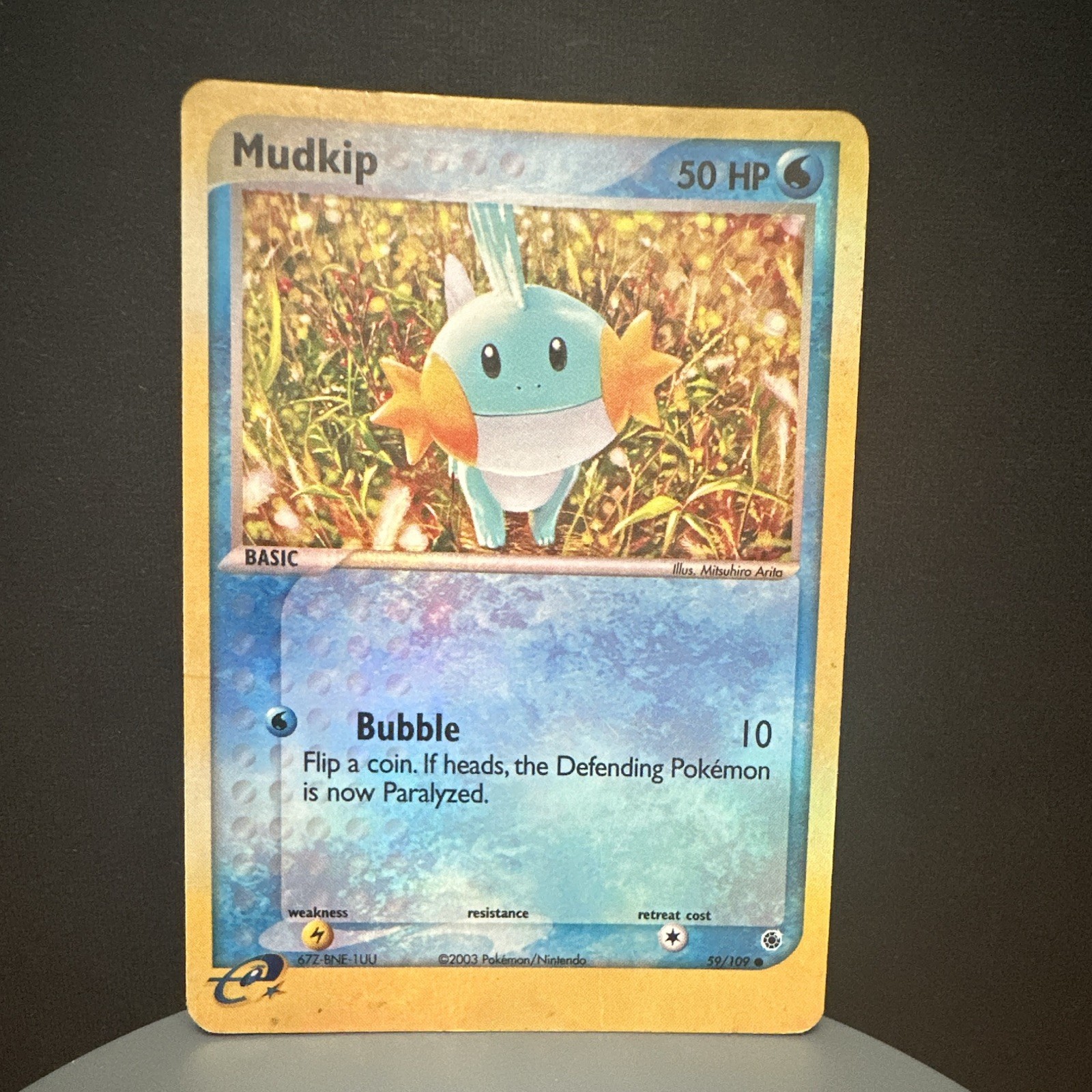 The Pokémon Company Mudkip 59/109 EX Ruby & Sapphire Rev Holo ENG 50HP 2003