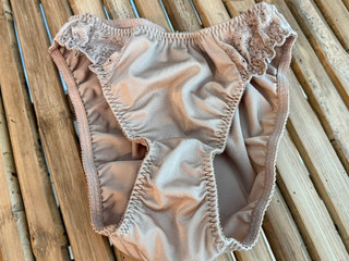 VINTAGE OLGA #20042 nylon spandex BIKINI PANTIES sz L