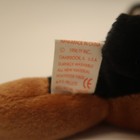 Bild 3 von 5