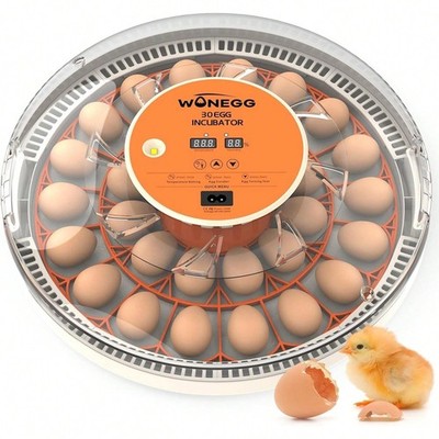 30 Egg Incubator With Automatic Turner Temperature Humidity Display And Built