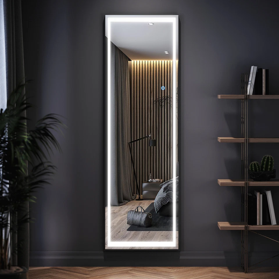 Large Full Length Dressing Mirror with 3 Color LED Light Makeup Bedroom 160x50CM