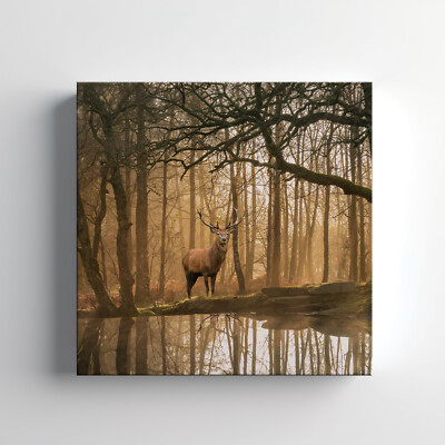 Hirsch Hirsch im Herbst Wald Leinwandbild Wandbild, Wohndeko Wandbehang