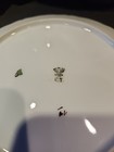 Set of 6 Antique Circa 1900 Carl Tielsch & Co. (C.T.) Dinner Plates 9 3/4"  — photo 8