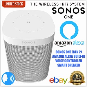 voice controlled smart speaker